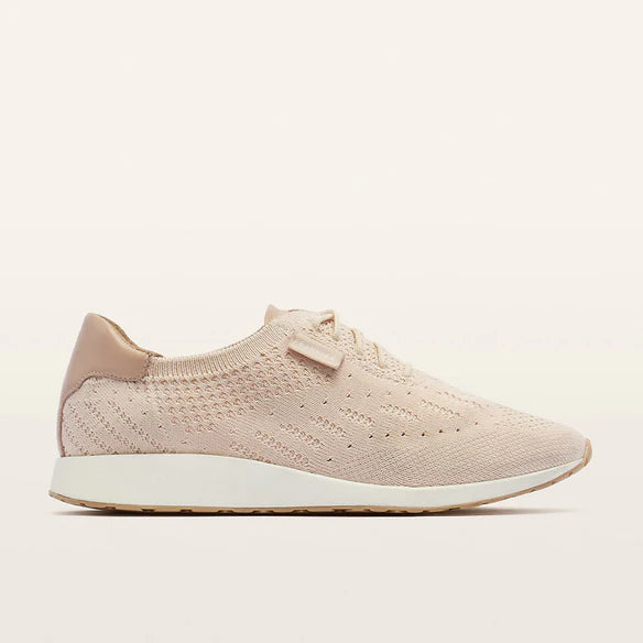 Frankie4 Dimity II